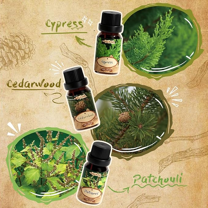 Woody Diffuser Oils Set